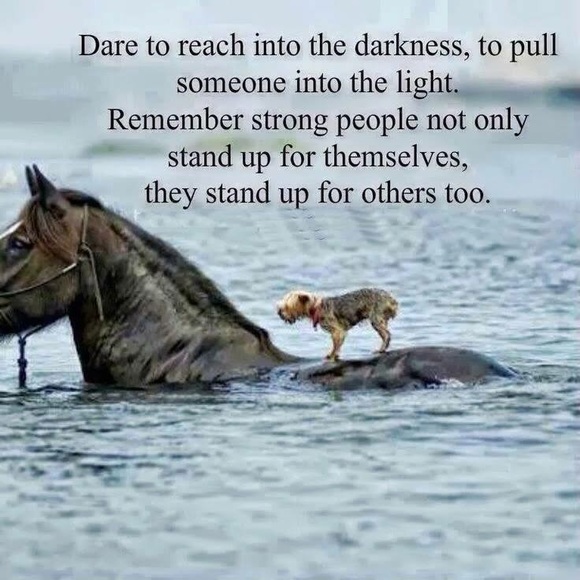 Just a little about your seller. - Picture 4 of 4