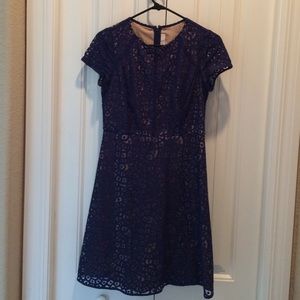 Loft lace dress
