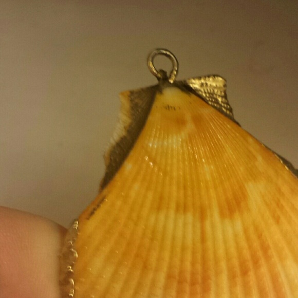 Shell necklaces. No chains - Picture 2 of 3