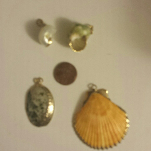 Shell necklaces. No chains - Picture 3 of 3