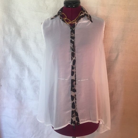 Leopard Print collar and trim sheer shirt