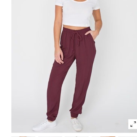 American Apparel Rayon Billionaire pant