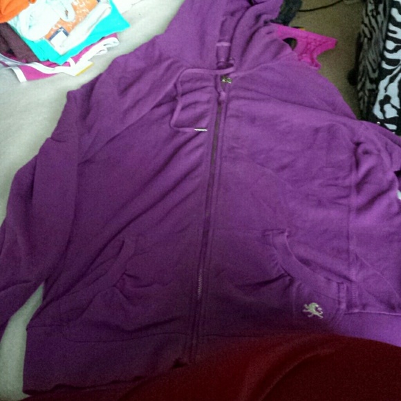 Purple express Hoodie