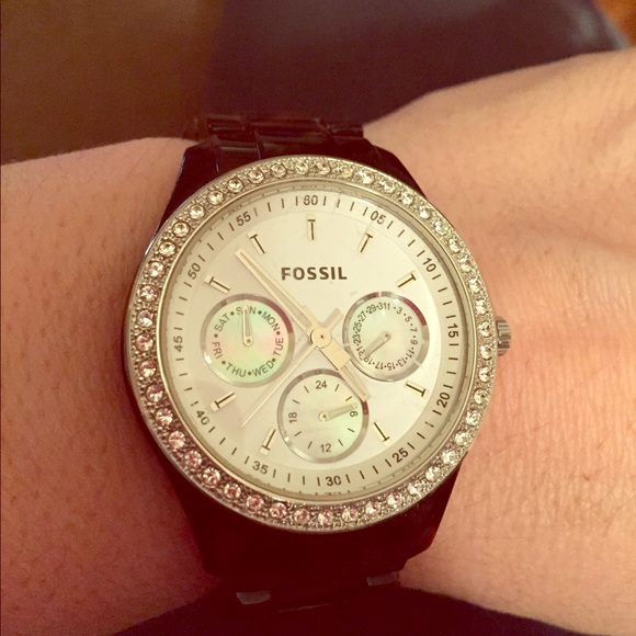 Fossil tortoise link watch!