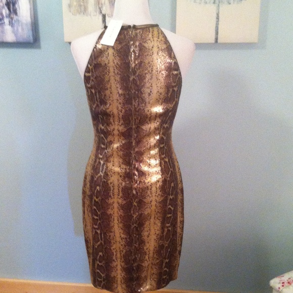 Cache dress - Picture 4 of 4