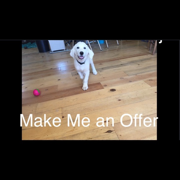 Make me an offer!!