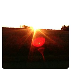 EVERYTHING MUST GO! Ask me if I'll take 50% off!!