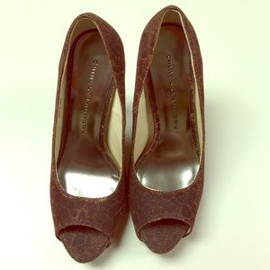 Chinese Laundry Sexy Iridescent shoes