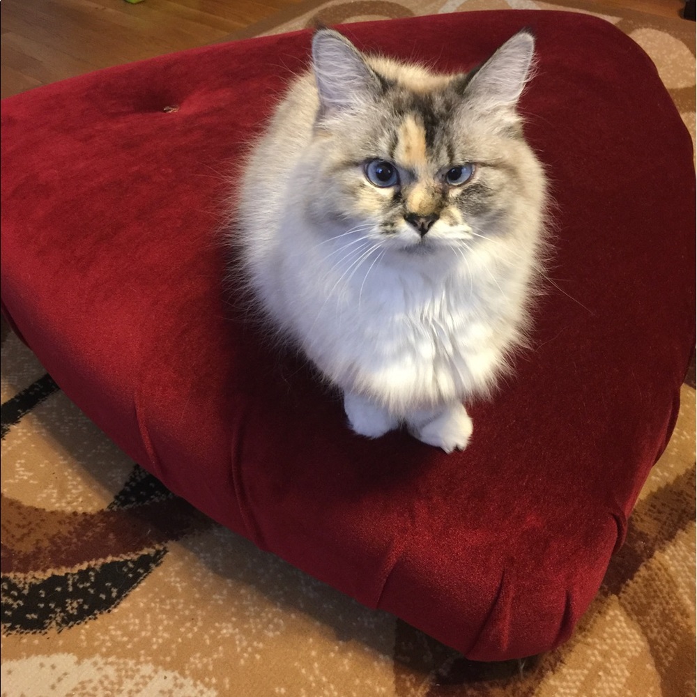 Coco