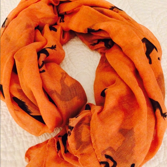 Charming charlies burnt orange scarf