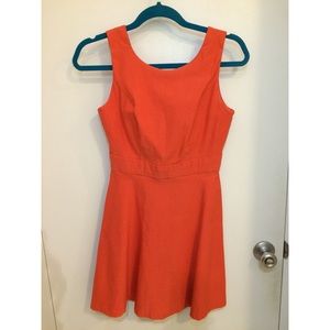 Women's Scuba Dress