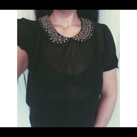 ❗️Embroidered Peter Pan collar, Sheer black blouse