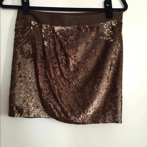 Haute Hippie Skirt