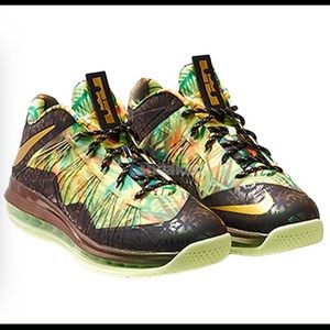 Lebron 10 championship pack 10