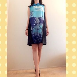 Finders Keepers Lake Tahoe print dress.