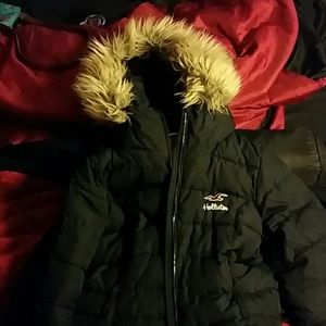 Hollister winter coat