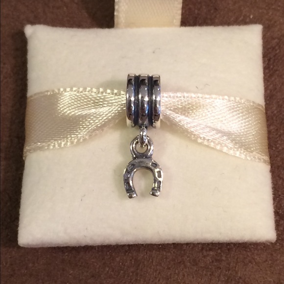 Pandora Bracelet with Charms - Picture 4 of 4