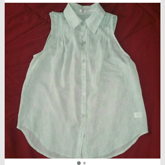 Sheer Mint Green Blouse