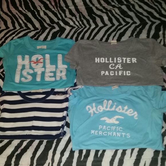 Hollister bundle