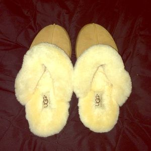 UGG slippers