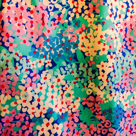Lilly Pulitzer Dress in GUC. - Picture 3 of 4