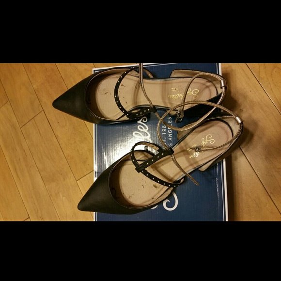 Seychelles flats