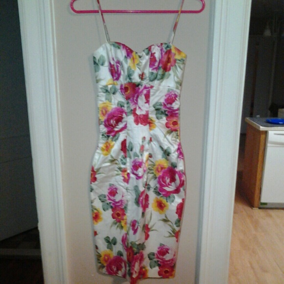 Cache Dresses & Skirts - Cache Floral Silk sz 4