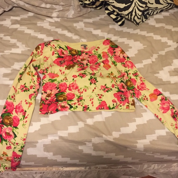 Long sleeved crop top.