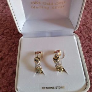 Beautiful multi color earrings