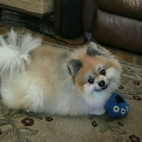 Meet your seller! - Picture 2 of 5