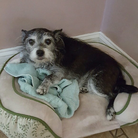 Meet your seller! - Picture 3 of 5