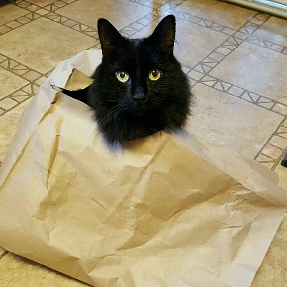 Meet your seller! - Picture 4 of 5