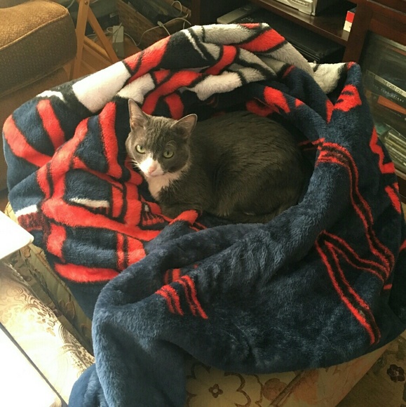 Meet your seller! - Picture 5 of 5