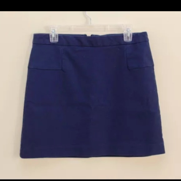 Max Studio blue skirt