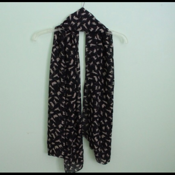 😺Cat print Scarf🐈