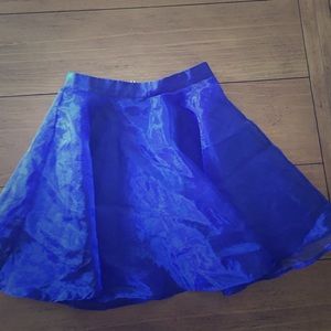 Tulle Skirt