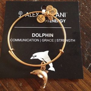Alex and Ani dolphin bracelet