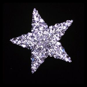 Swarovski crystal  pin