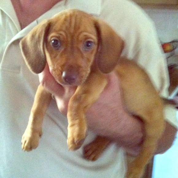 Little Daisy says make us an offer we can't refuse