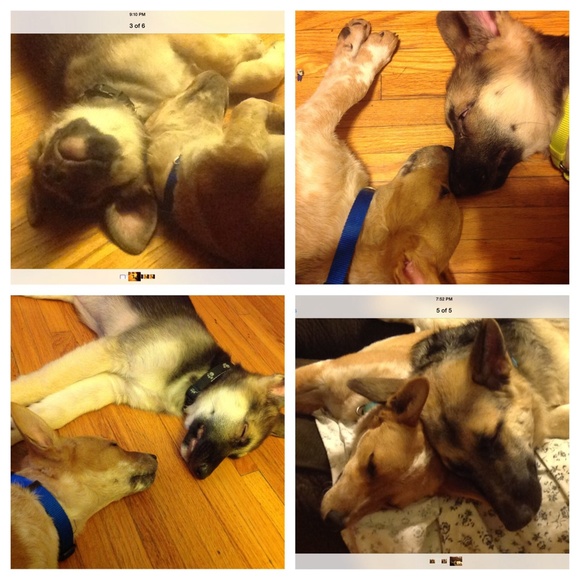 FIND SOMETHING YOU CAN'T LIVE WITHOUT? BUNDLE SAVE - Picture 2 of 6