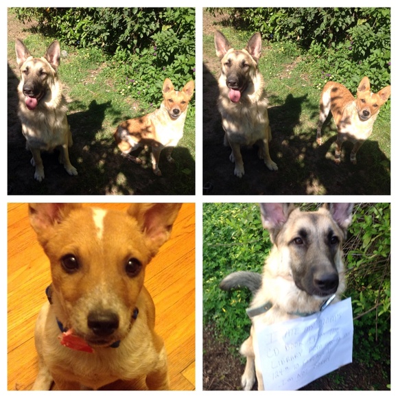 FIND SOMETHING YOU CAN'T LIVE WITHOUT? BUNDLE SAVE - Picture 4 of 6