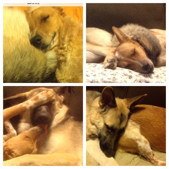 FIND SOMETHING YOU CAN'T LIVE WITHOUT? BUNDLE SAVE - Picture 3 of 6