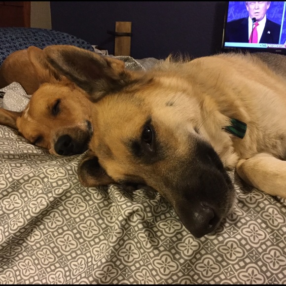 FIND SOMETHING YOU CAN'T LIVE WITHOUT? BUNDLE SAVE - Picture 5 of 6