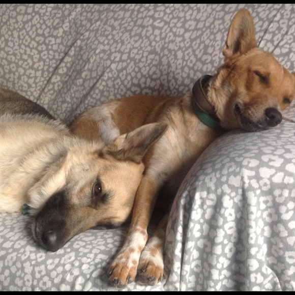 FIND SOMETHING YOU CAN'T LIVE WITHOUT? BUNDLE SAVE - Picture 6 of 6