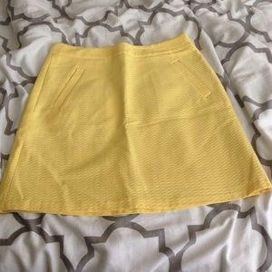 BRAND NEW W/ TAGS Skirt from the Limited!