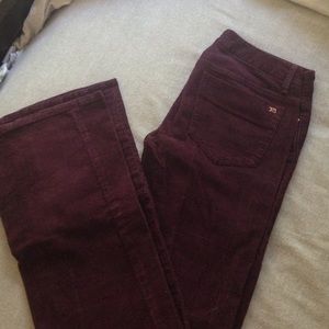 Joe's burgundy flared cords