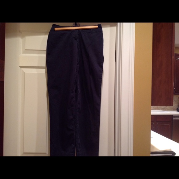 Ann Taylor loft navy pants