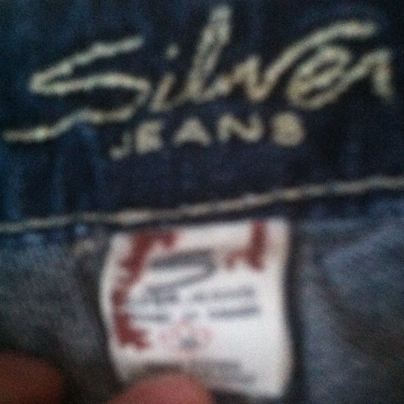 Silver Capris - Picture 2 of 3