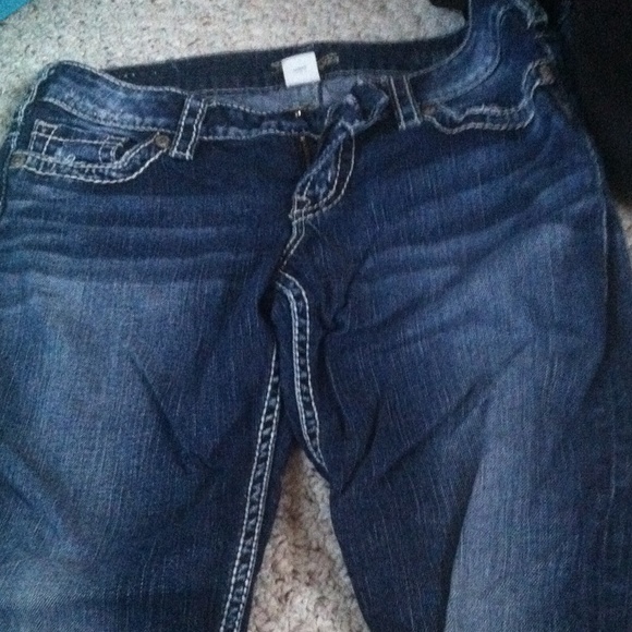 Silver Capris - Picture 3 of 3