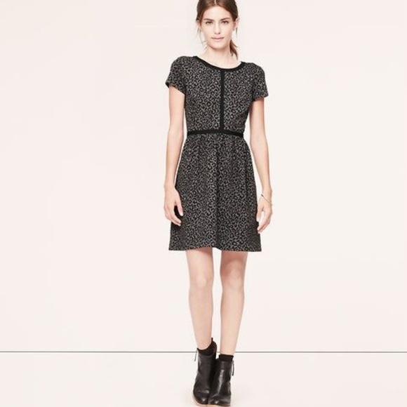 Loft Tipped Cheetah Dress 6